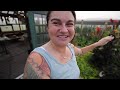 FULL Garden Tour (Late June 2024) | Organic Food and Flower Garden