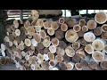 These logs will be cleaned of the outer bark to process it into planks #woodworking #construction