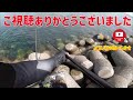 【エギング】夏のアオリイカ　キロアップを釣る