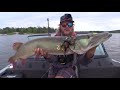 FIDGET SPINNER MUSKY FISHING!!!