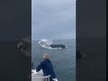 Colin Yager/TMX via AP | Whale capsizes boat