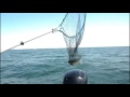 Using Fishhawk TD to help catch more Lake Erie Steelhead