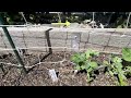 How I Made An Easy And Cheap Trellis In My Small Garden Under 6 Dollars
