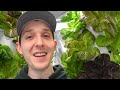 Why Vertical Indoor & Aeroponic Farms? (Farm Tour 2024)