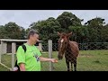 Caminhada na Natureza - Circuito Celso Aramis Mandirituba - Despertando sensações.