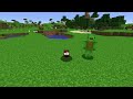 BIRTH to DEATH in MINECRAFT