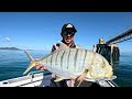 This Jetty Was LOADED! (INSANE Jigging, Topwater & Vibing)