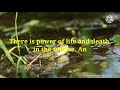 A Deaf Frog Story || Speak nice words || Motivational quotes one minute therapy 31