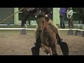 Cowboy Dressage La Garrocha