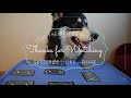 Zeus, Marley and Snow Play The Memory Match Game | Quarantine Games For Dogs - Zeus The Greedy Husky