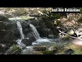 Babbling brook Asmr | soothing sounds of water to calm the mind,reduce stress and anxiety