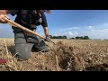 Sensational Roman Buried Treasure Found Metal Detecting In England!