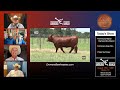 Emmons Beefmaster Ranch - Final Chapter Female Production Sale