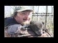 Bald eagle nest attacked by raccoon near Hanover