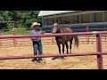 A Whole New Way to Work in the Round Pen