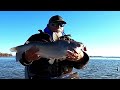 Catching Big Catfish on Susquehanna River - NEW PB !!!!