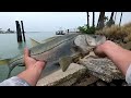 Treasure Island Florida Fishing John's Pass