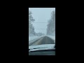 Snow Storm Frida. January 3, 2022. Tree leaning on power line