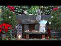 Cat TV for Cats to Watch 😸 Birds & Squirrels at Christmas 🕊️🐿️ Bird videos for cats