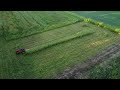 Brush Hogging TALL weeds with Massey Ferguson 35