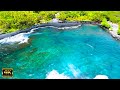 4K Video•Nature Beauty/Soothing Romantic Music For A Calm And Happy Mind on Guitar Music Background