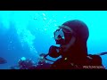 Shark Diving 100 Feet Down Off Jupiter, Florida | GoPro Hero5