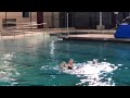 Mallory Solo Swim (1/20/22)