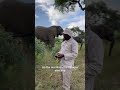 Marula Lessons with Elephant Carer, Owen & the Herd 🐘🍈