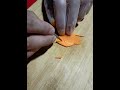 Butterfly Carving || vegetable carving || carrot carving || how to make butterfly from carrot.