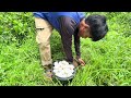 Wow wow !Amazingly, a farmer picks up many duck eggs on the sidewalk with a lucky hand.