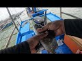 vlog#288 ikan tarik sampai terjatuh orang kedalam laut padu!!!#sangkarsgudang #fishing