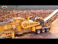 60 AMAZING Dangerous Biggest Stump Removal Excavator in Action | Best Of The Week