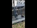 My Dog Kennel Set Up