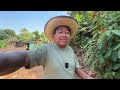 HUEHUETÓNOC | Huipiles y delicias de un pueblo amuzgo | Vlog - Documental | SUSCRÍBETE |