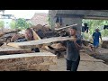 Sawing Wooden Logs to Make Giant Coins || SAWMILL PROCESS