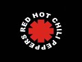 I could die for you - Red Hot Chili Peppers (Lyrics)