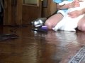 HowToVacuumYourCat