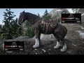 Red Dead Redemption 2 Horses - Shire Overview