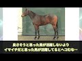 【競馬の反応集】「この馬って活躍した？ してない？」に対する視聴者の反応集