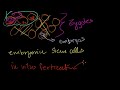 Embryonic stem cells | Cells | MCAT | Khan Academy