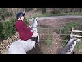 An Incredible Gallop with the Farmers Bloodhounds in Notgrove | Equestrian