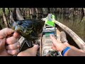 Catching Nice Bream and Shellcracker with Crickets and Worms