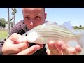 Fishing A GOLF COURSE Spillway In 110° WEATHER