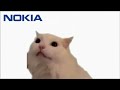 Cat Meow Nokia Phone Ringtone 1 Hour Straight