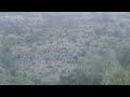 Srpski goniči Adam i Arap od Stankosi(11mes) teraju zeca na Staroj planini