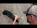 Follow the Nose | Shed Hunting Dogs | 2024