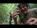 I SURVIVED 3 DAYS in the JUNGLE Eating Frogs and Leaves | Tarantulas | Snakes | Monkeys | Parrots
