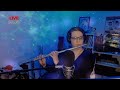 Star Trek: First Contact Theme - Flute Solo - Live Cover