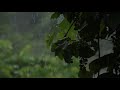 Relaxing Sound of Rain and Wind Forest 2 Hours