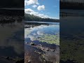 Fishing for Lily pads on Island Lake